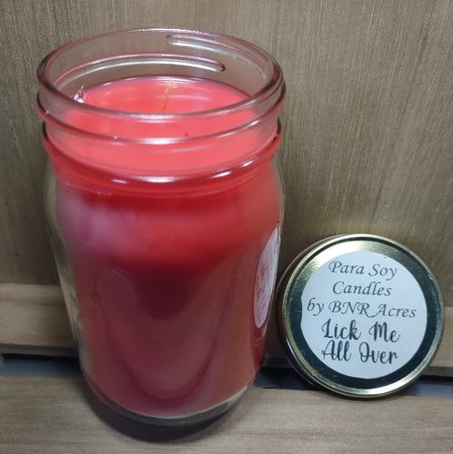 Lick Me All Over Para Soy Jar Candle & Wax Melts
